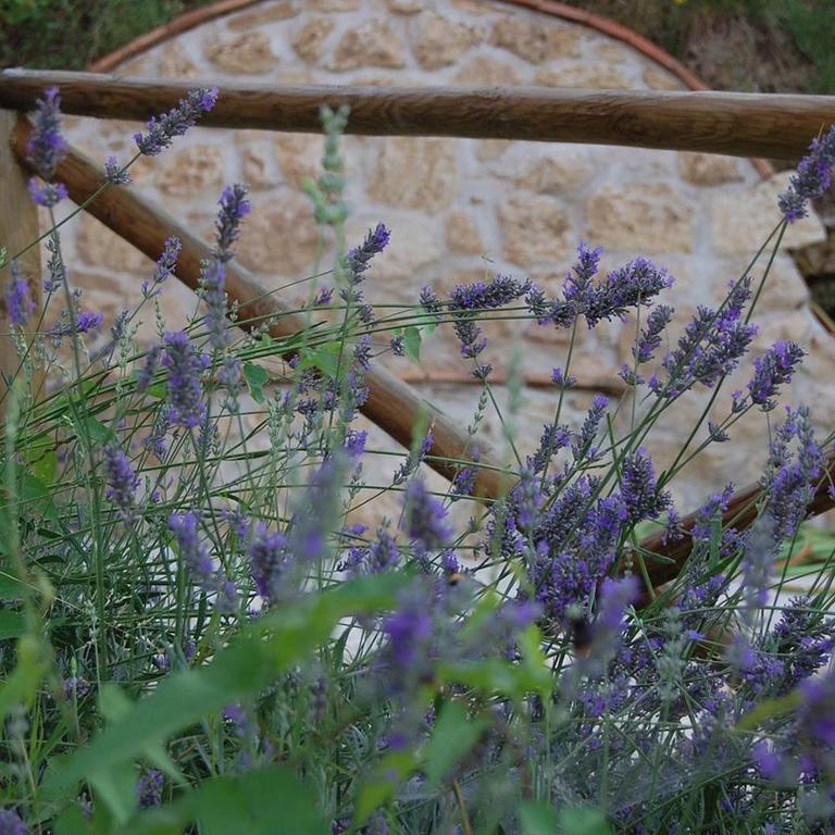 B&B L'Usignolo Ascoli Piceno Exterior foto